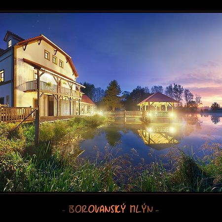 Borovansky Mlyn Borovany  エクステリア 写真